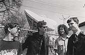 Custard, who are featured in Deadset